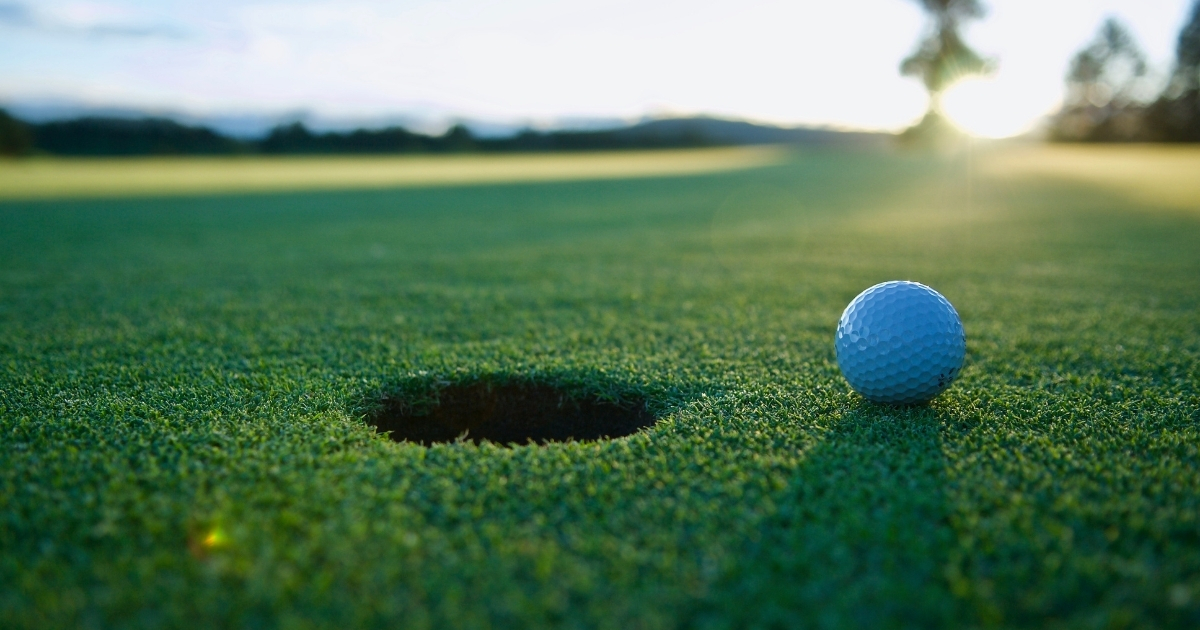 Press Release: Partners in Progress